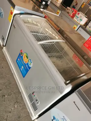 Delron Ice Cream Display Freezer 318L