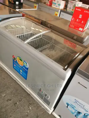 Exclusive Delron Ice Cream Freezer