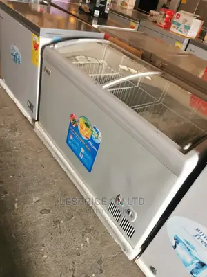 Strong Delron Ice Cream Display Fridge
