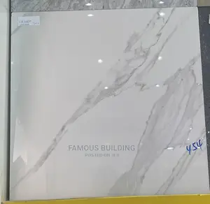 Made in India 60/60 Floor Tiles (Polished)