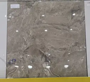 Made in India 60/60 Floor Tiles (Polished)