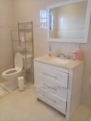 Plumber (Mr Ameyaw and Plumbers)