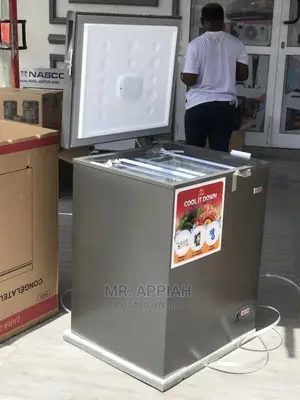 Preserving Food Made Easy With Zara Chest Freezer.(220)