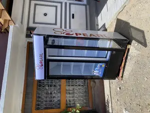 Cheap but Quality Pearl Double Door Refrigerator (PVC-74)