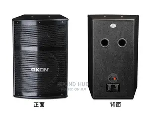 Professional Audio System for Rent