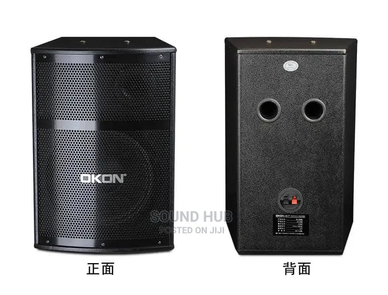 Professional Audio System for Rent