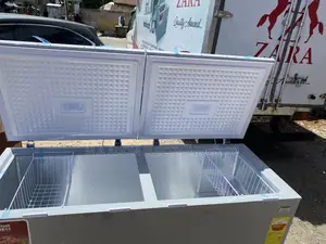 Zara 708 Litres Cold Store Chest Freezer