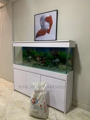 Mr Lee Aquarium With Fishes