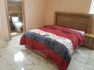 Newly Furnished Studio Apartment at Tseaddo