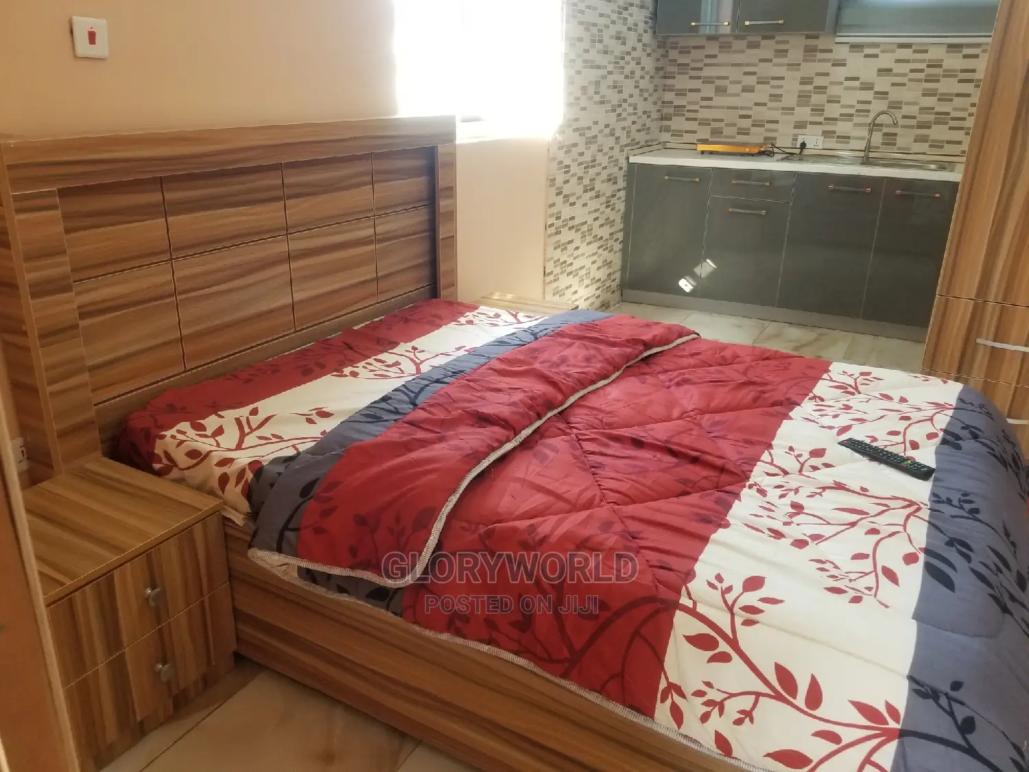 Newly Furnished Studio Apartment at Tseaddo