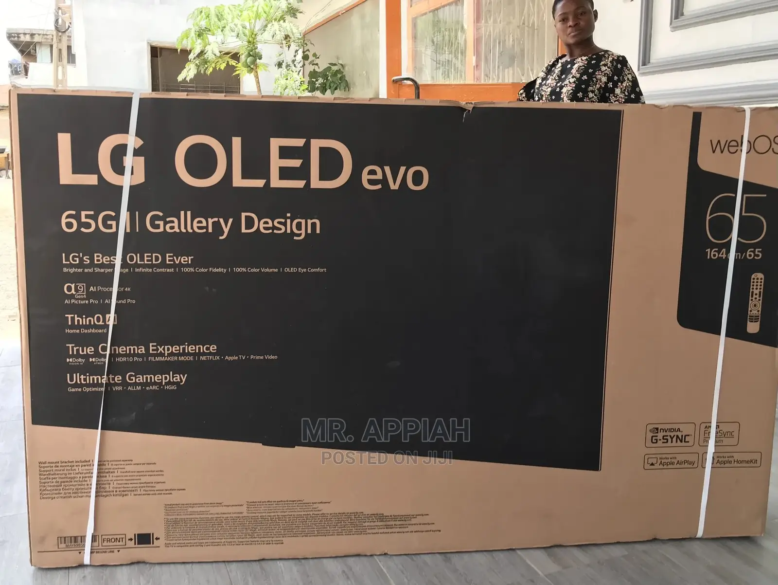 Life Is Short,Get a Big Screen Tv and Enjoy (OLED65G1PVA)