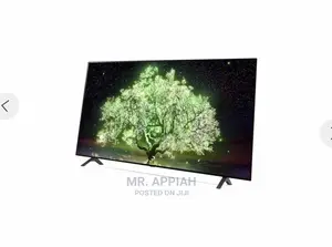 Don’T Settle for a Small Screen,Get the LG 65”Tv OLED65A1PVA