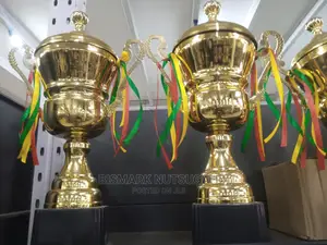 Award Trophies for Sale