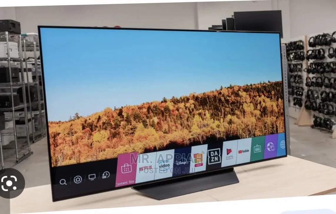 See Everything in Stunning Details With LG [OLED55BXPVA] Tv