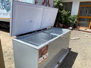 New Zara 708 Litres Chest Freezer for Cold Stores