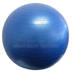 Gym Ball Sports