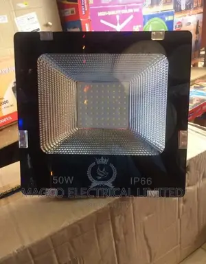 Flood Street Light