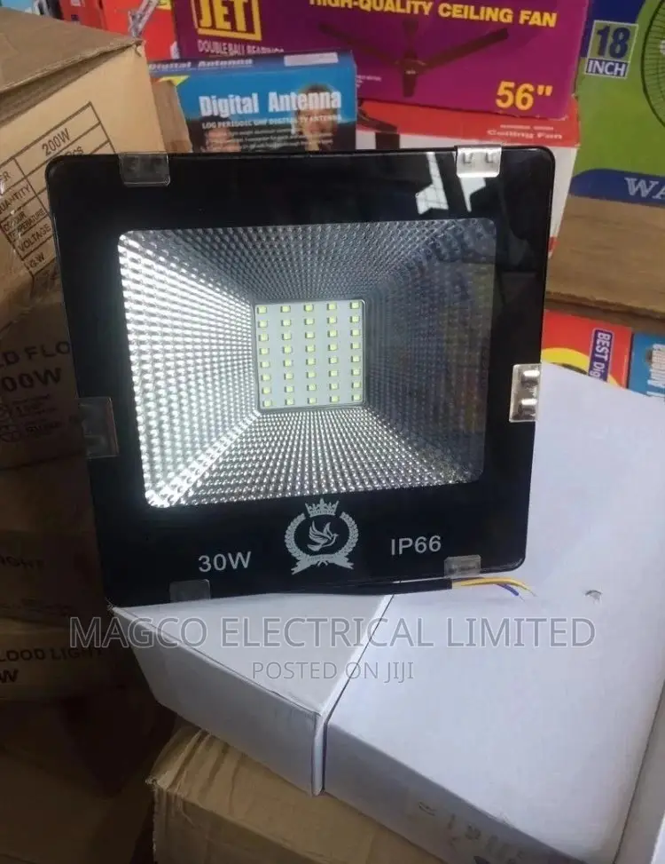 Flood Light 30w