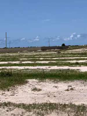 Genuine and Flat Land for Sale in Tsopli and Prampram