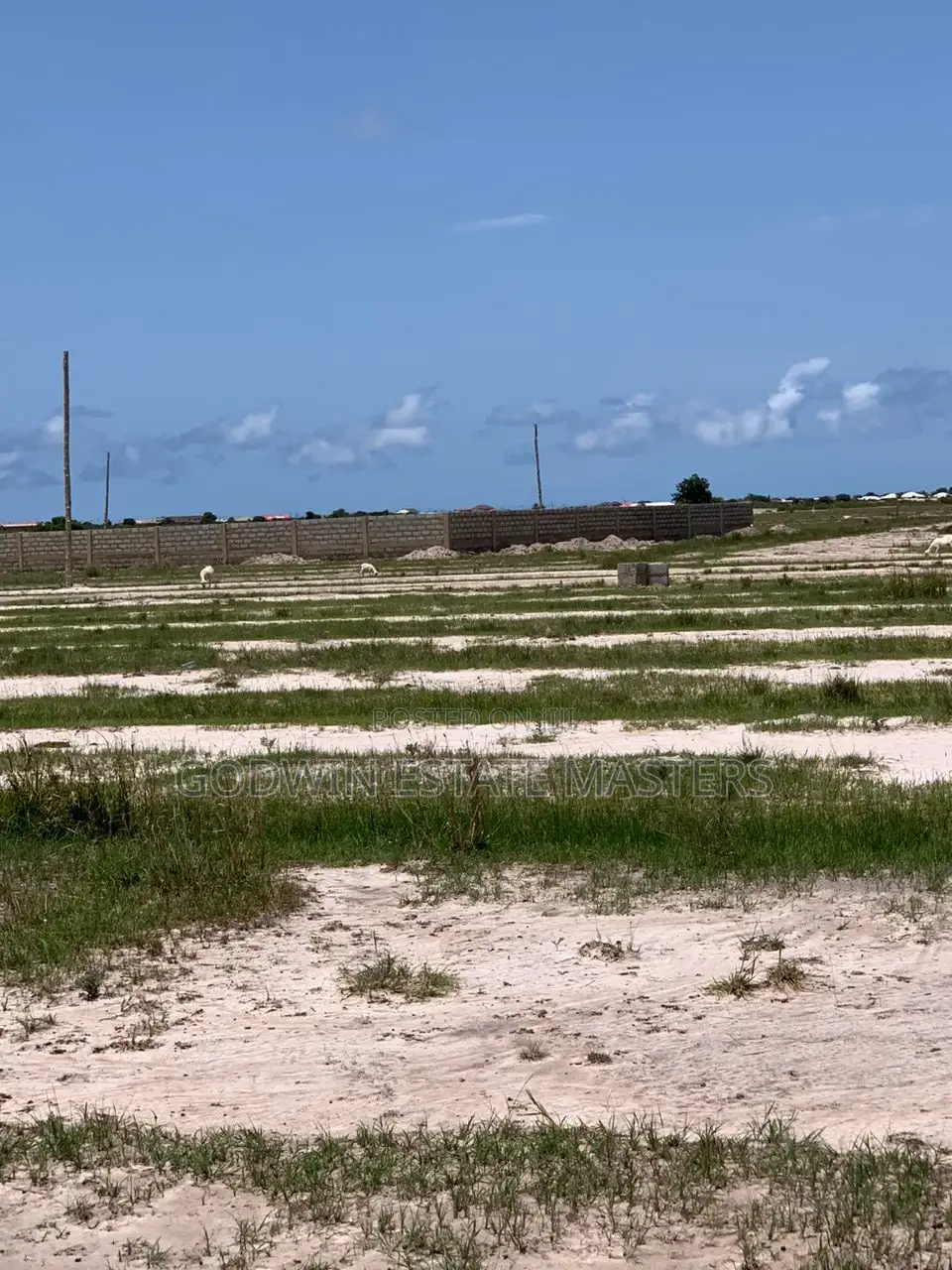 Genuine and Flat Land for Sale in Tsopli and Prampram