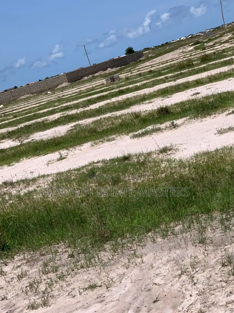 Secure a Plot of Land and Move the Choke Cities of Tema