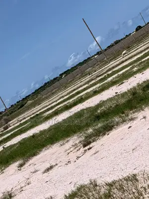 Be Ahead of Time and Get a Peice of the Airport City