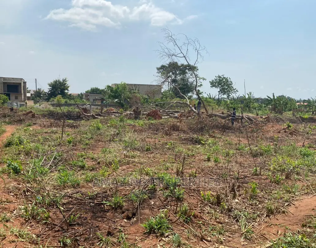 1995 Acres of Land at Kwabenya