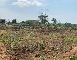 1995 Acres of Land at Kwabenya