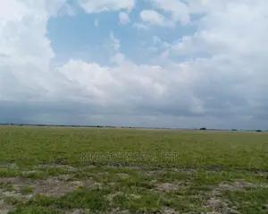 Suitable Plots for Sale:Affordable