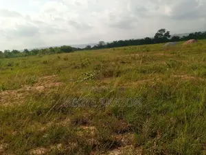 50 Acre Land at Ayikuma Fire Service