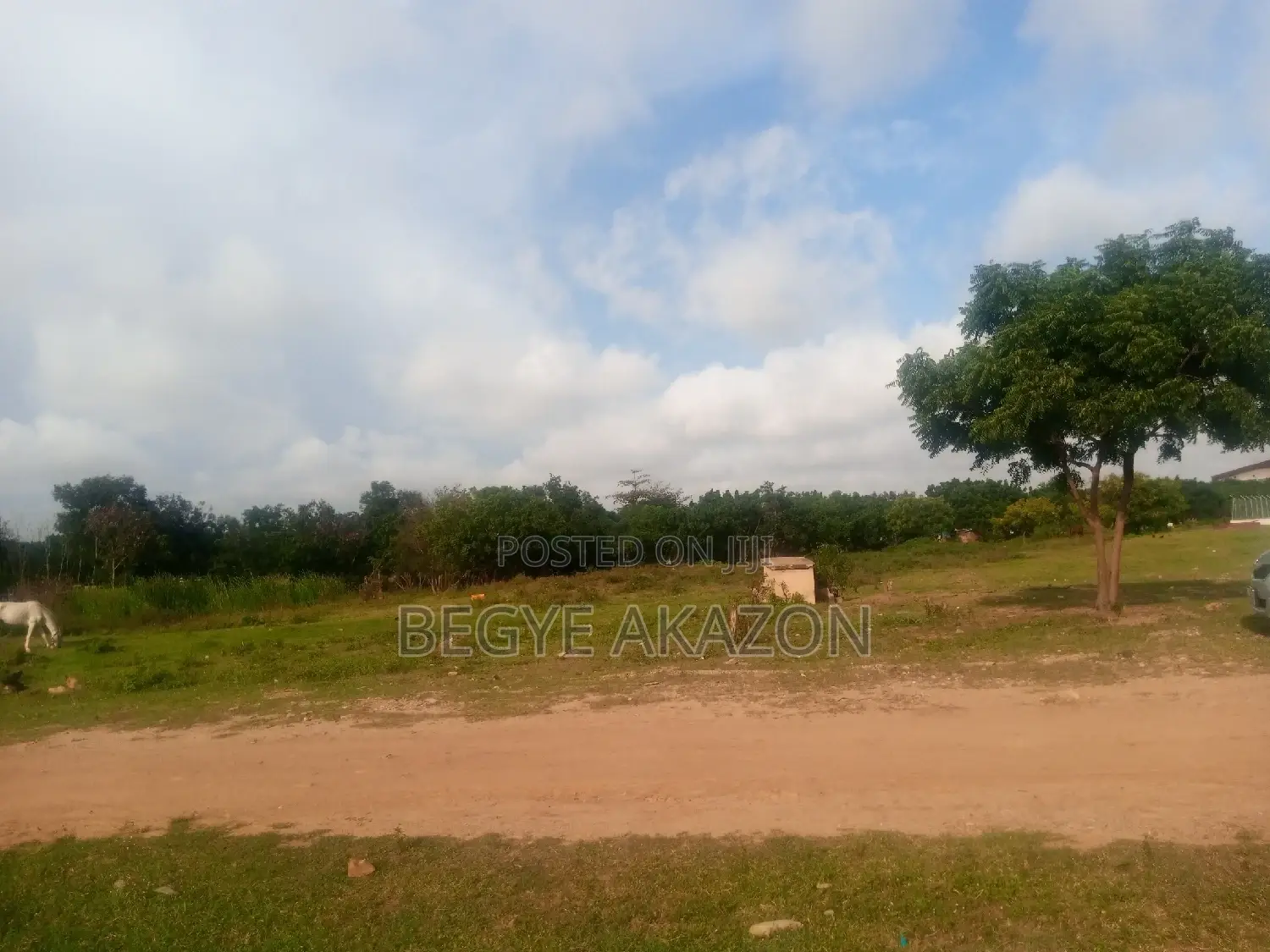 50 Acre Land at Ayikuma Fire Service