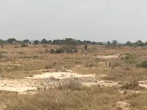 Semi-Serviced Estate Land for Sale: Tsopoli