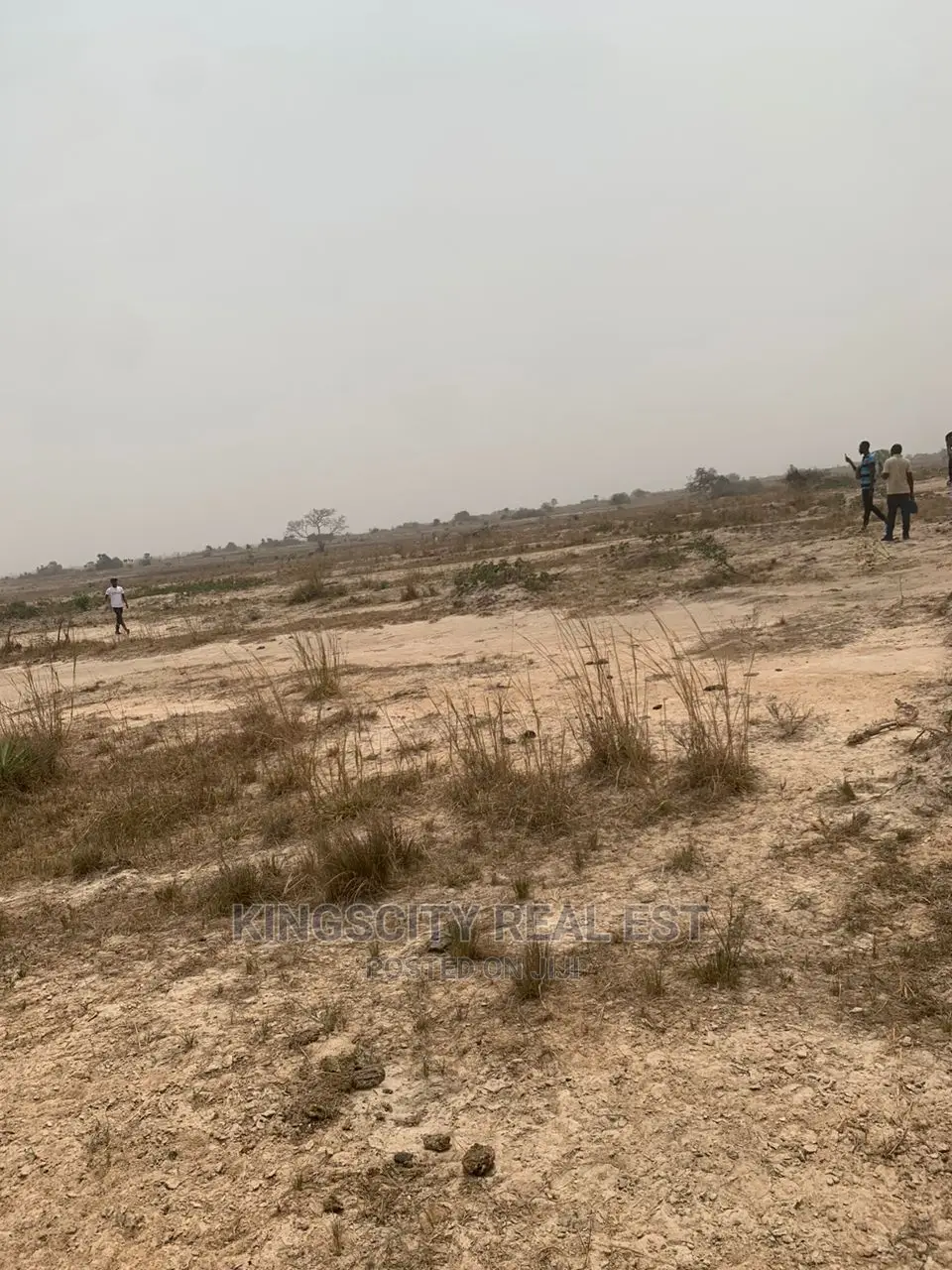 Tsopoli Area Plots for Sale: Serviced Plots