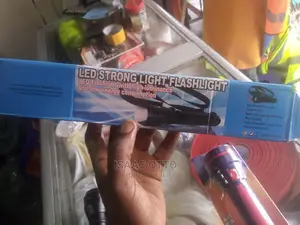 Security Flash Light