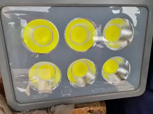 LED Flood Light 300W