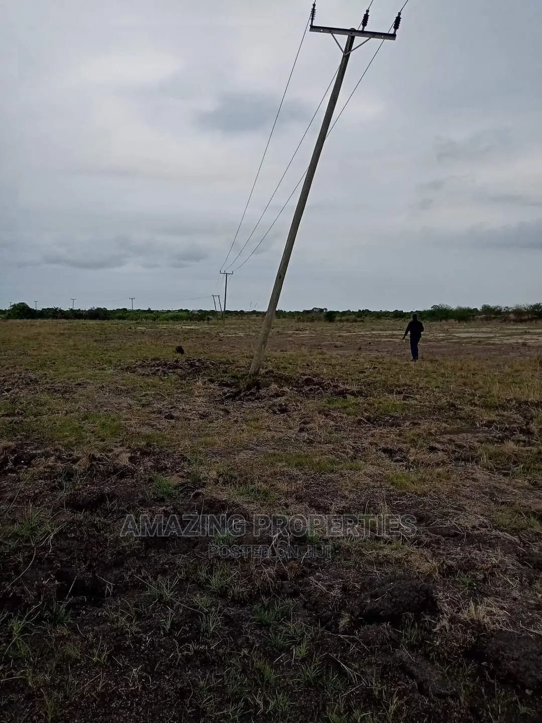 2 Plots of Land at Ayele ( Madina)