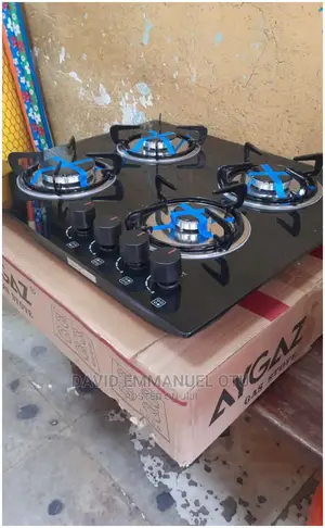 4 Burner Built In