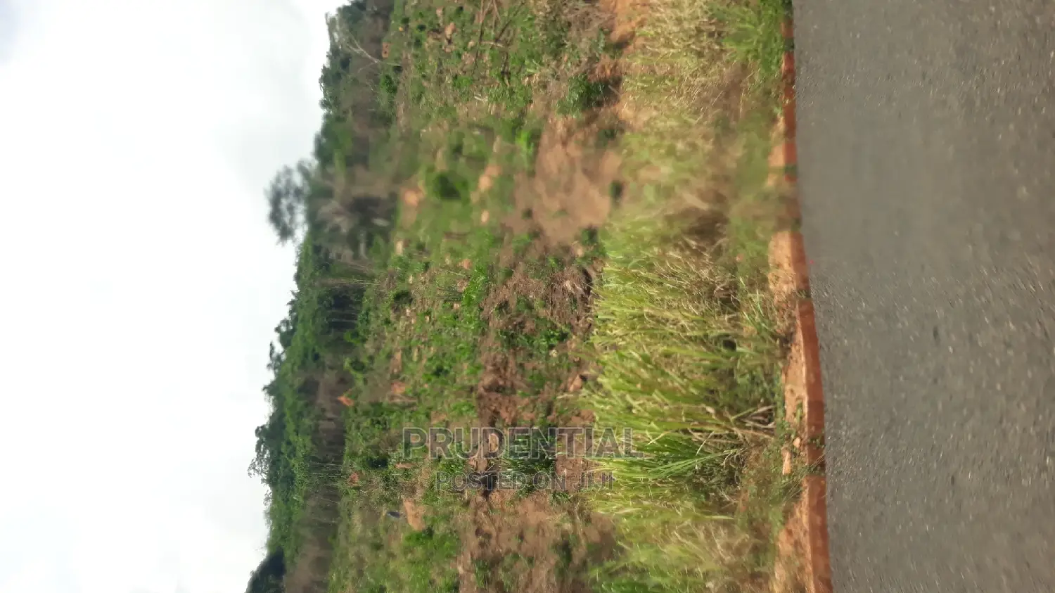 New Land for Sale at Adaeso