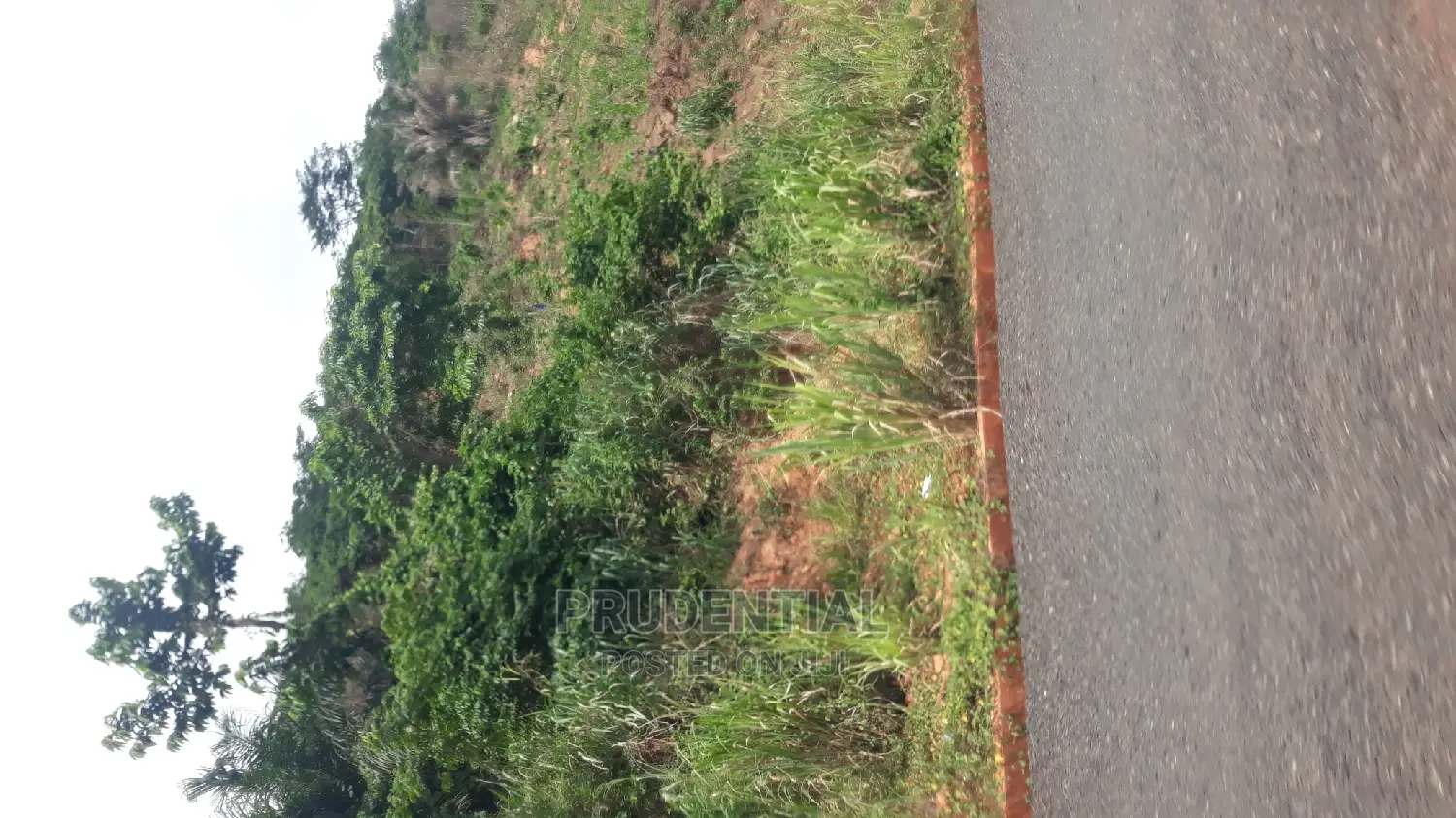 New Land for Sale at Adaeso