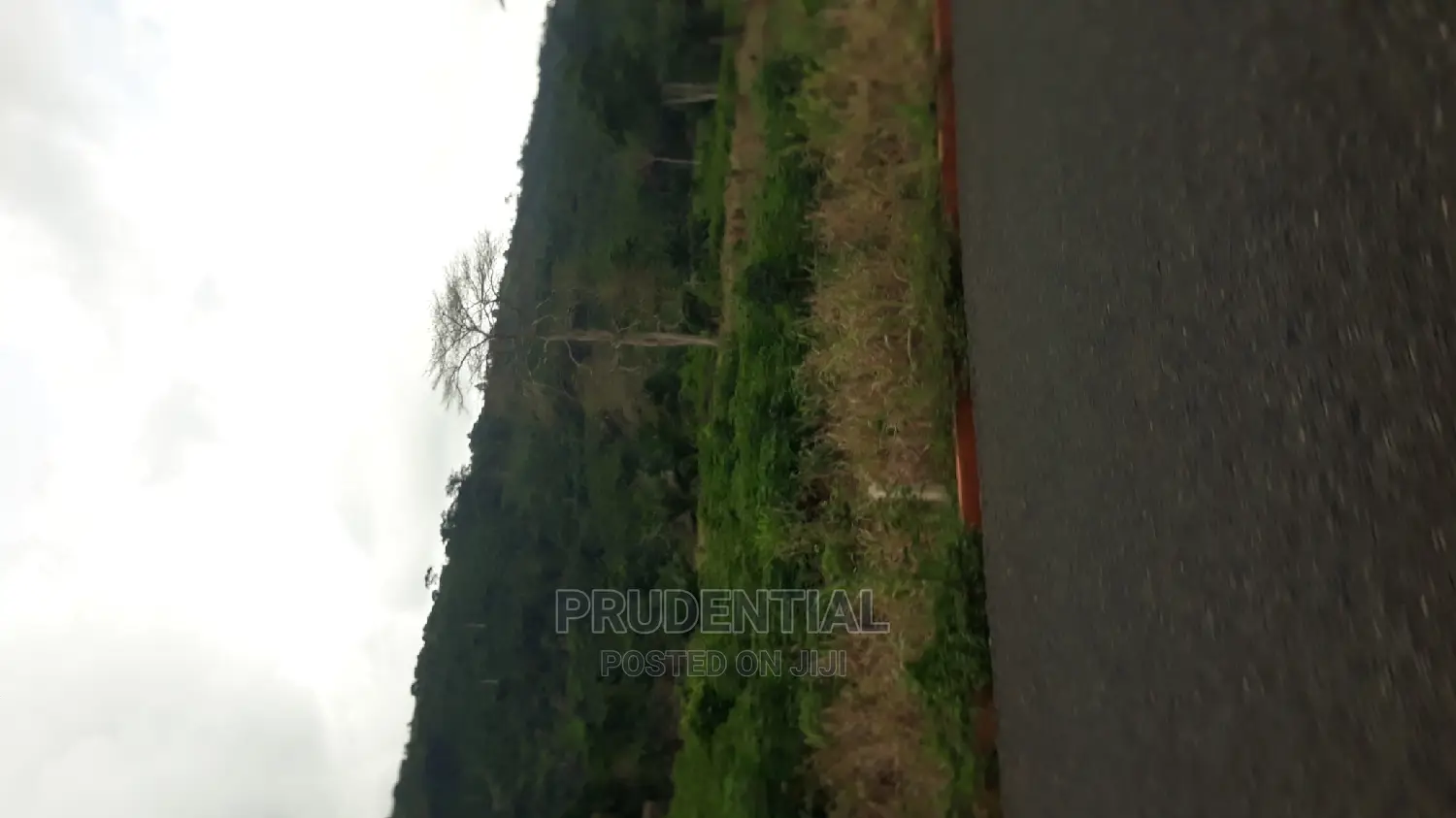 New Land for Sale at Adaeso