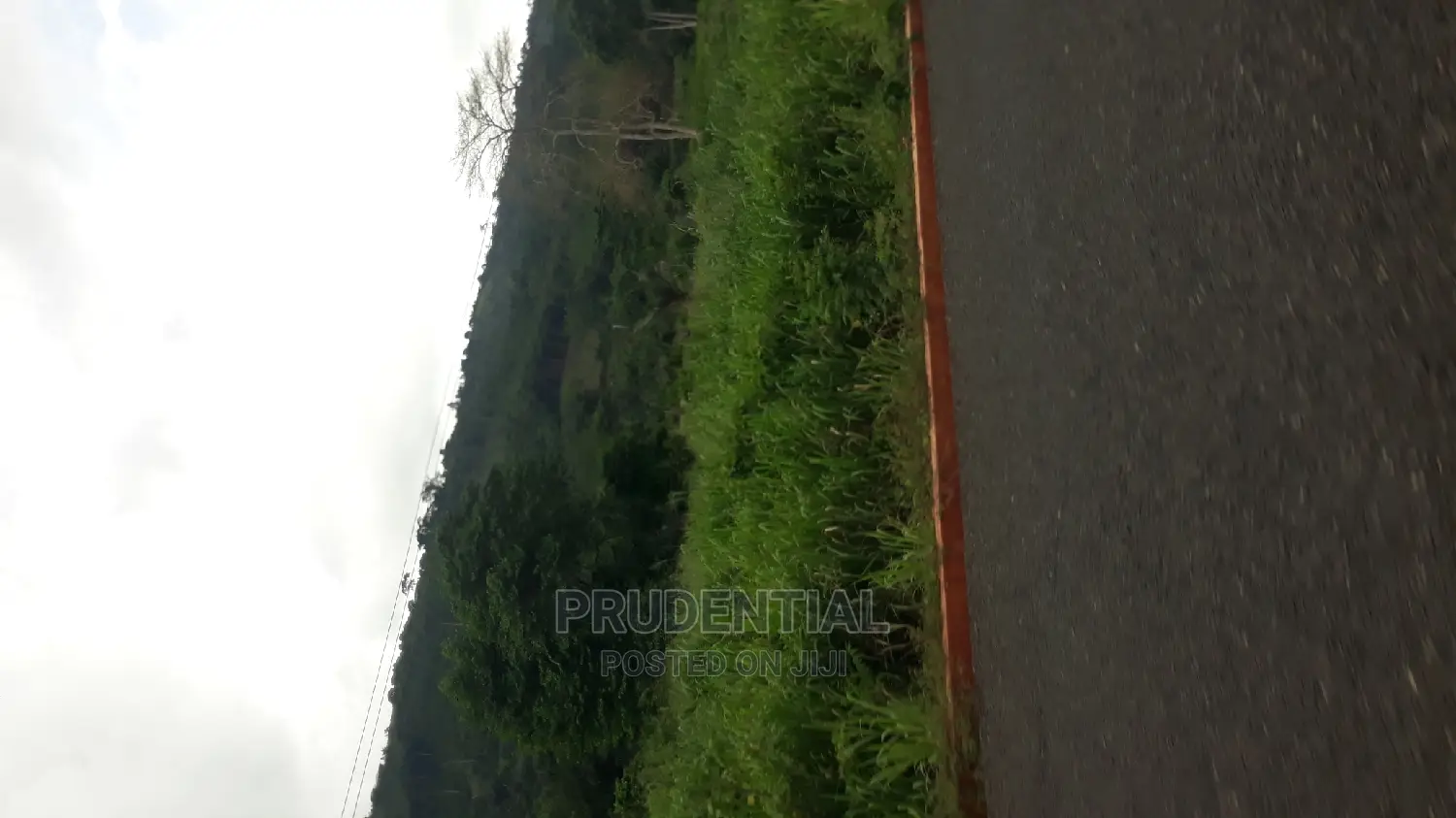New Land for Sale at Adaeso