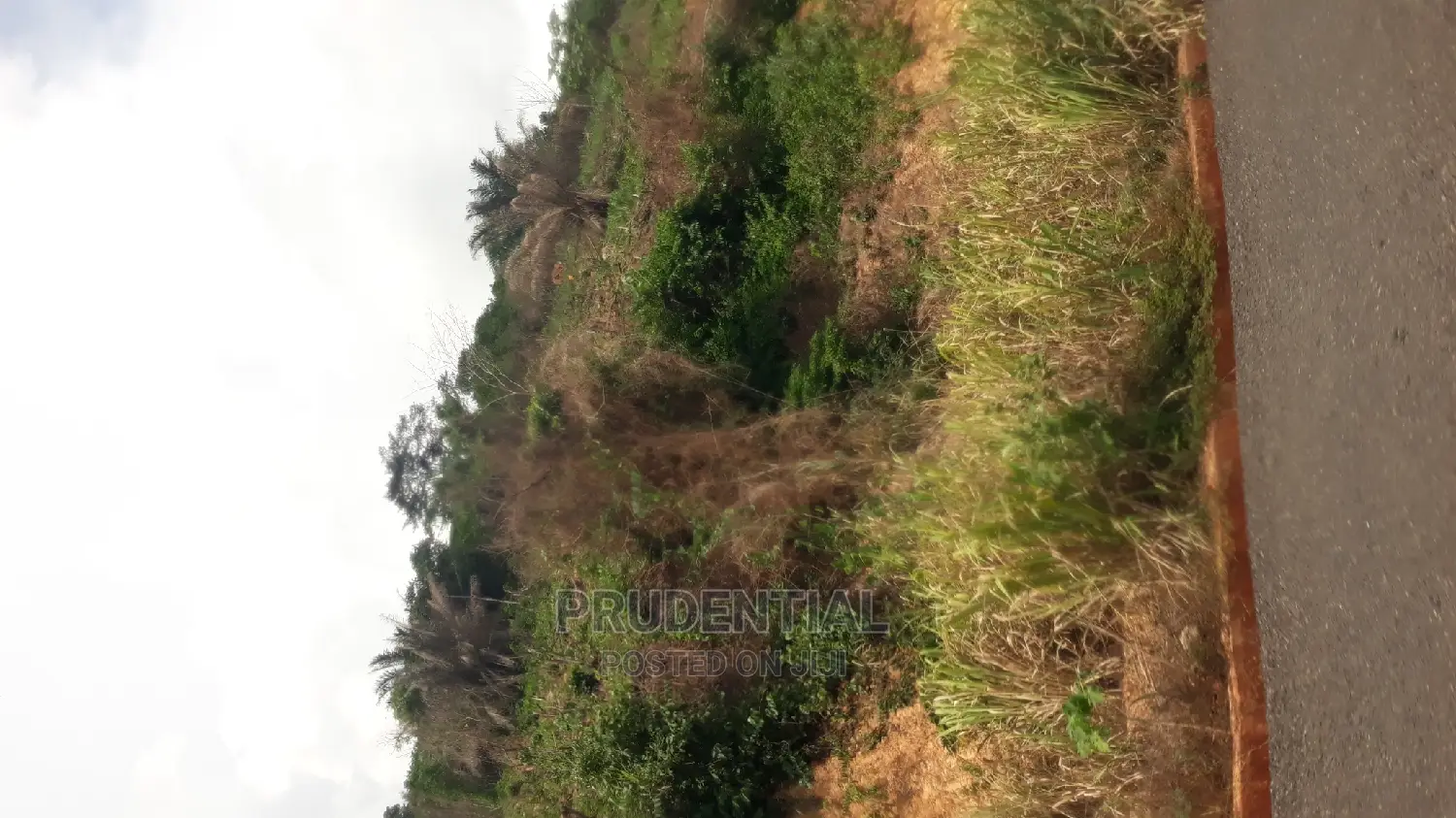 New Land for Sale at Adaeso
