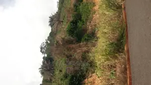 New Land for Sale at Adaeso