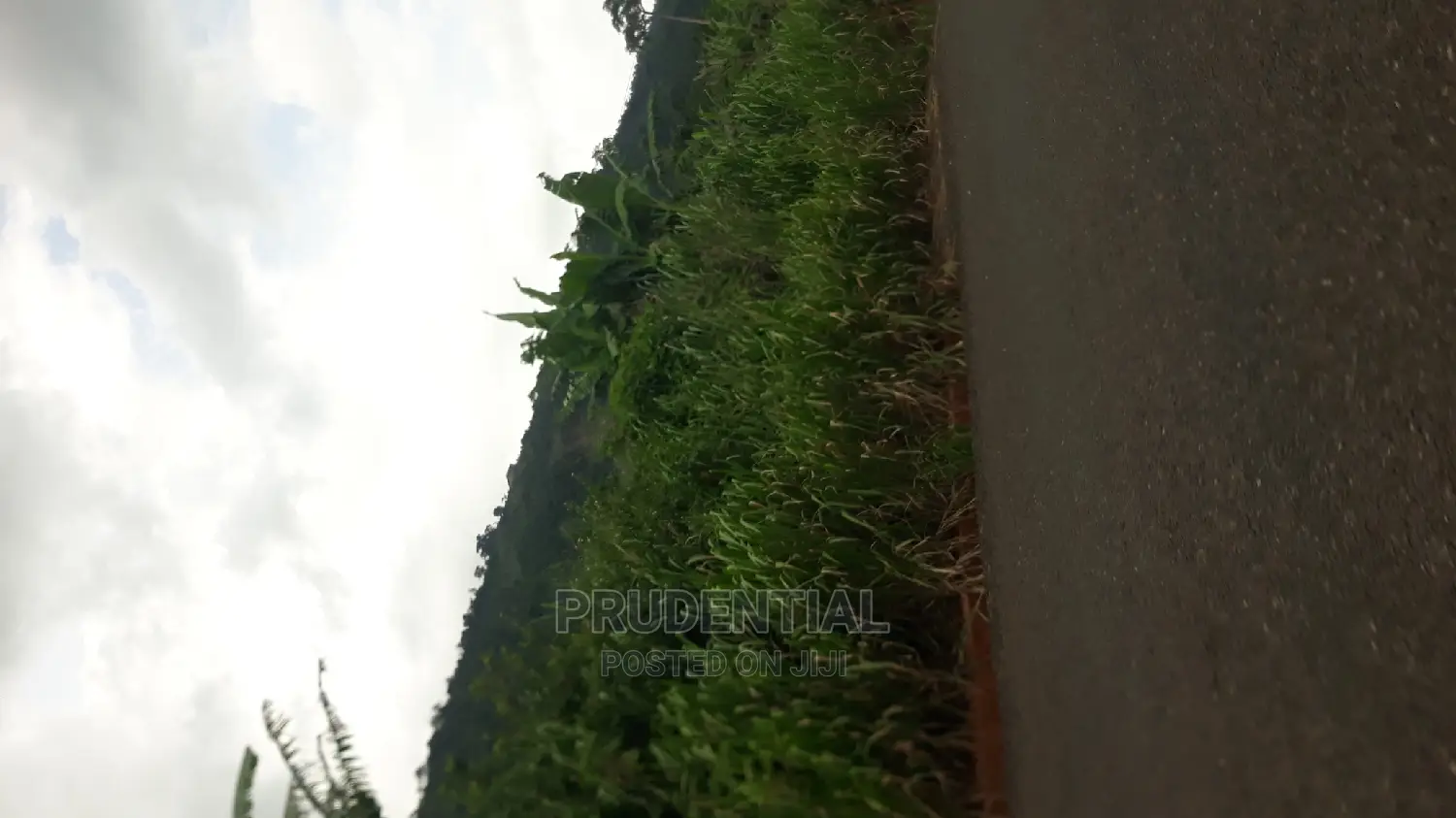 New Land for Sale at Adaeso