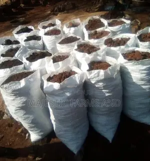 Catfish Feed of Various Sizes