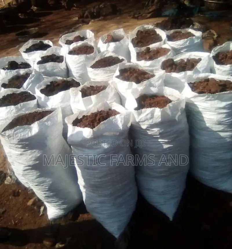 Catfish Feed of Various Sizes