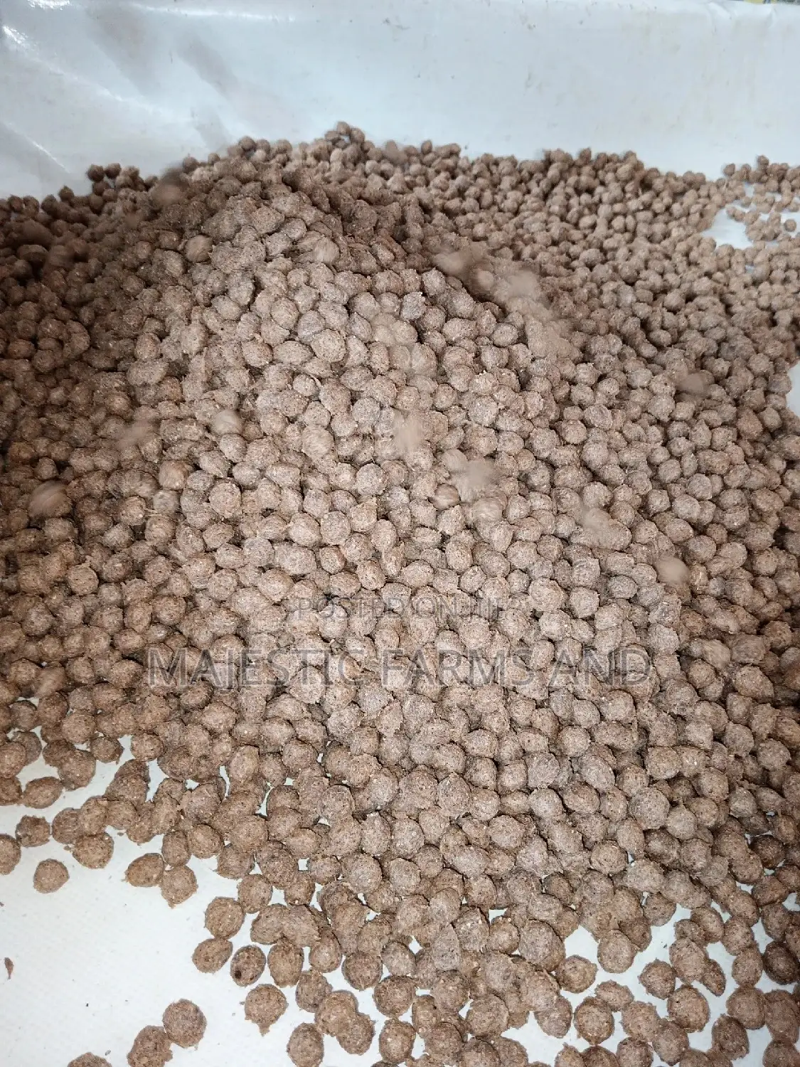 Catfish Feed of Various Sizes