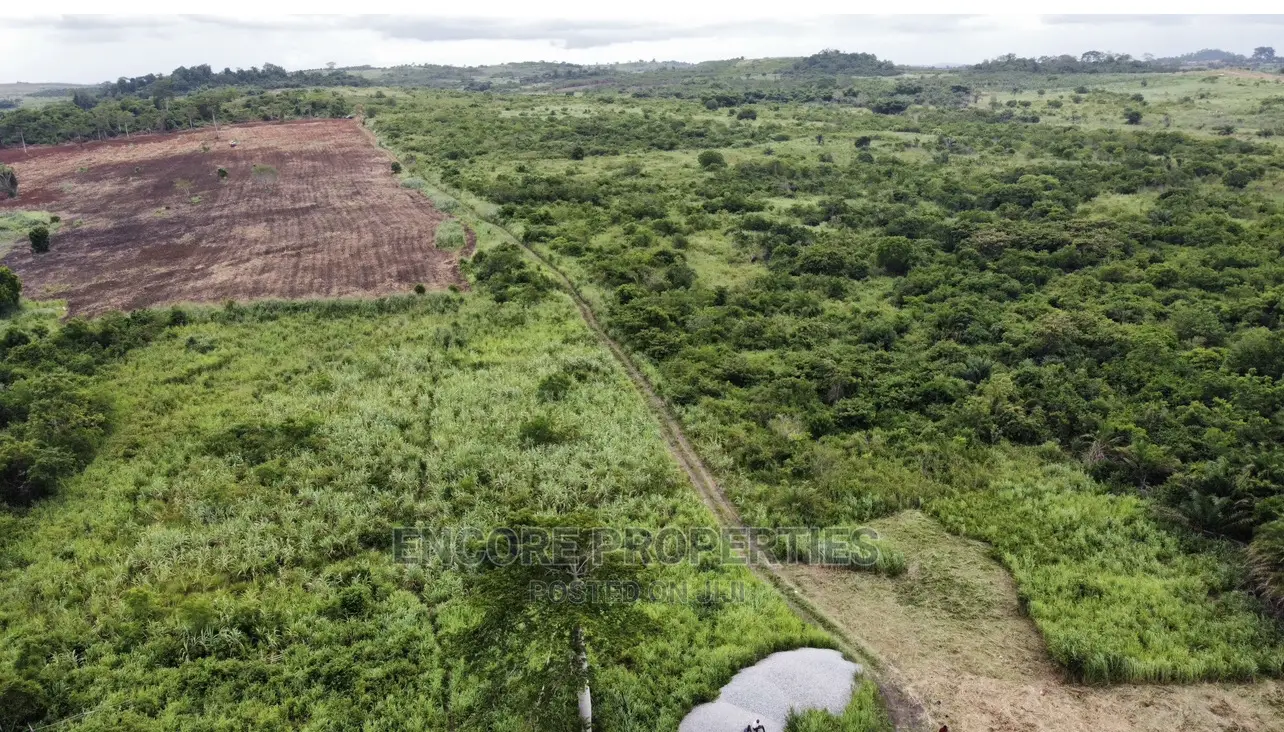 100 Acres of Farm Land Now Selling at Winneba