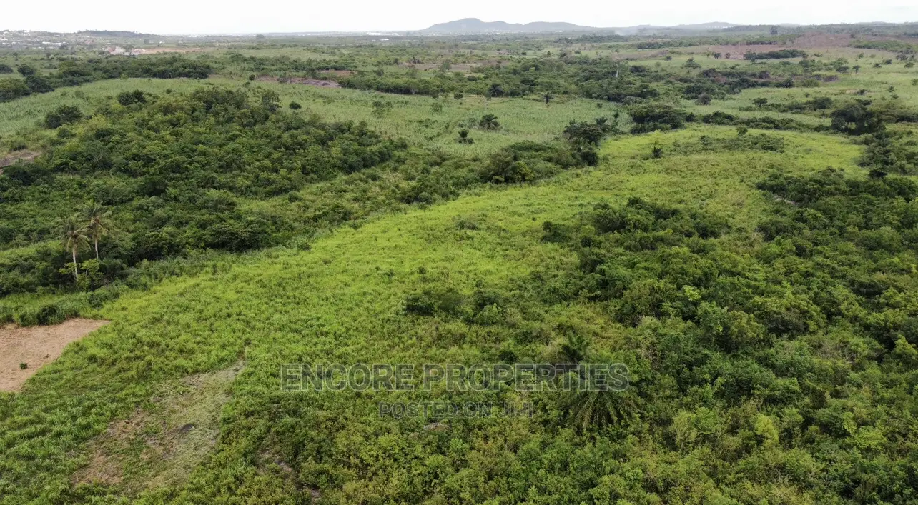 100 Acres of Farm Land Now Selling at Winneba