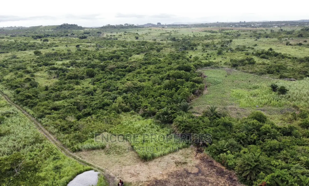 100 Acres of Farm Land Now Selling at Winneba